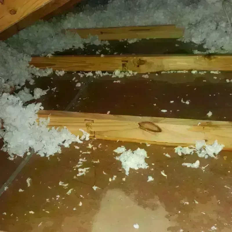 Attic Water Damage in Knox City, TX