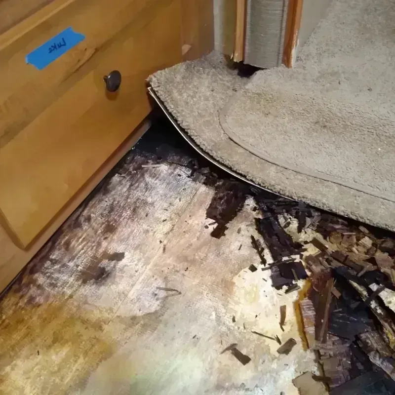 Wood Floor Water Damage in Knox City, TX